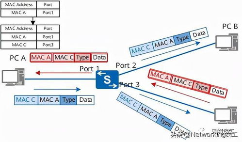 網絡工程師必懂得以太網基礎知識 構建數字世界的基石