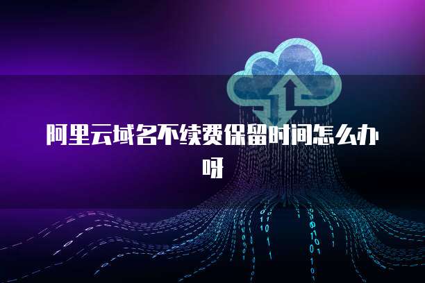 新購(gòu)服務(wù)器與互聯(lián)網(wǎng)域名注冊(cè)問(wèn)題解決方案